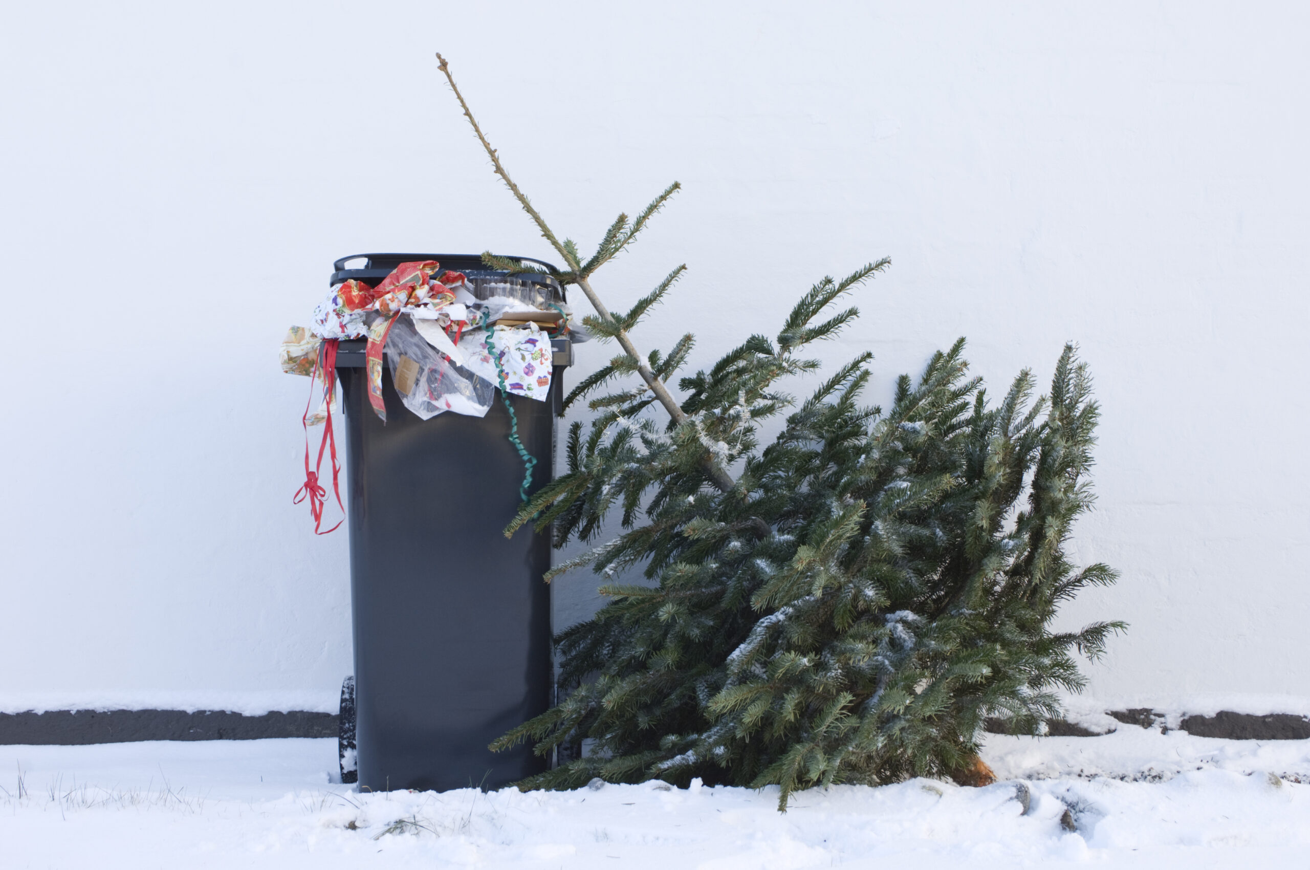 Deck the Bins: Keeping Your Trash Bins Clean for a Clean Christmas